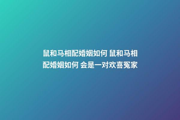 鼠和马相配婚姻如何 鼠和马相配婚姻如何 会是一对欢喜冤家-第1张-观点-玄机派